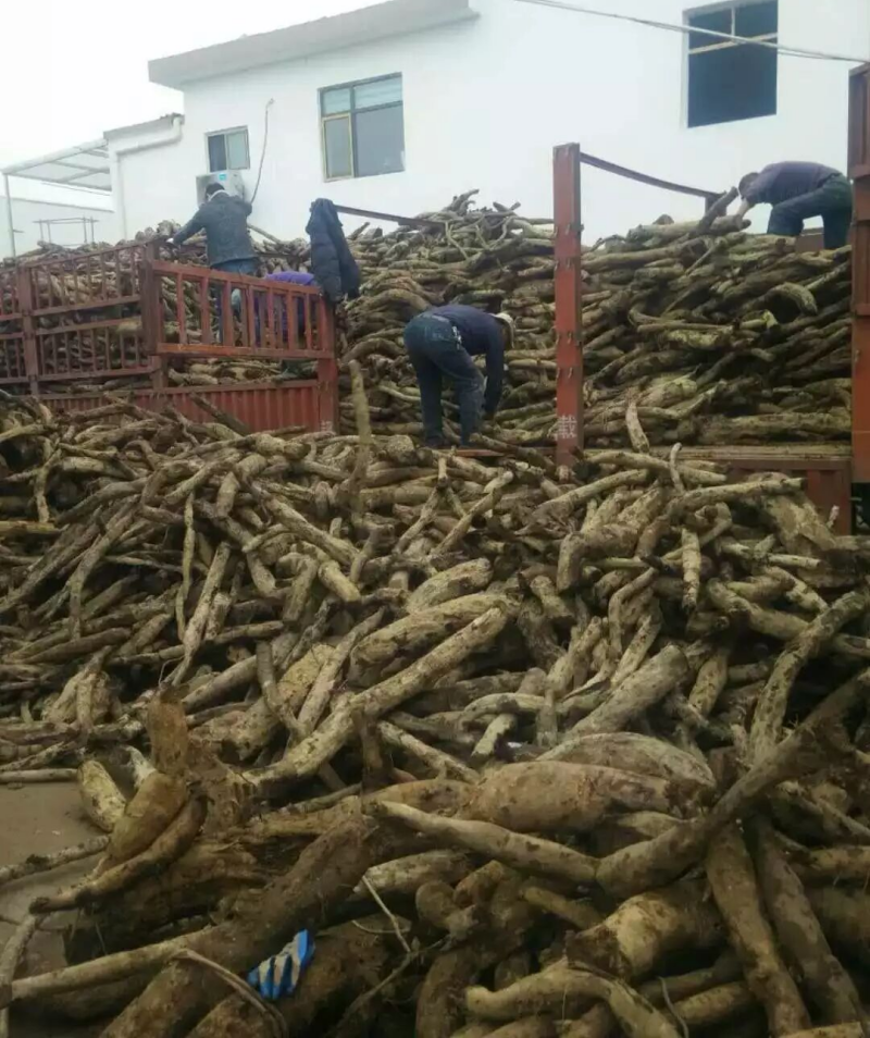 1766913373895350.png 收購野生葛根.png