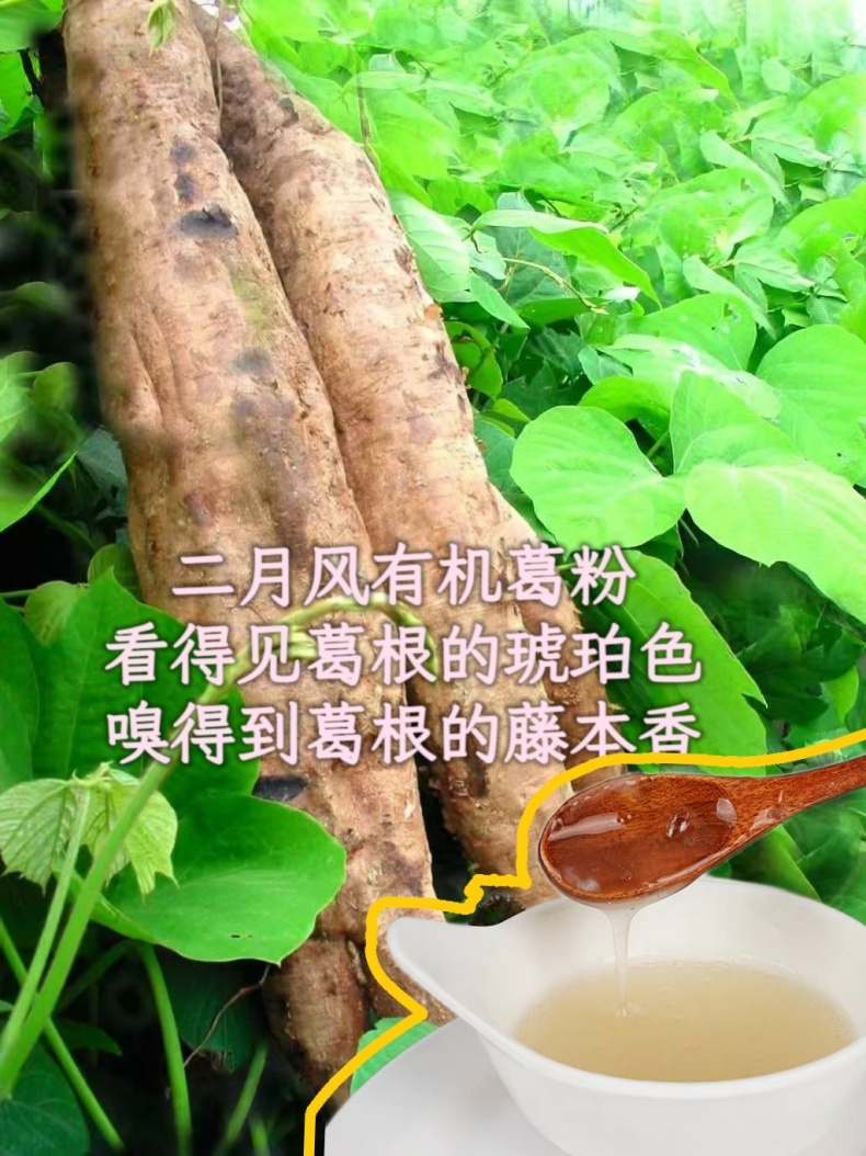 二月風(fēng)有機葛粉，看得見葛根的琥珀色，嗅得到葛根的藤本香_790.jpg