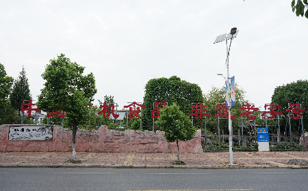 當定制葛粉時，我們真正在選擇什么？