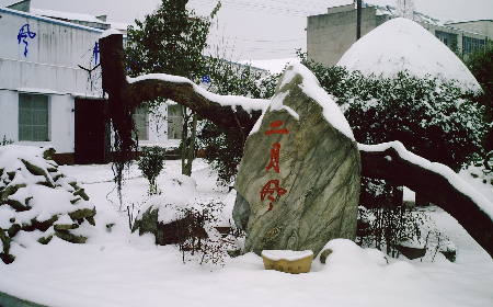 二月風(fēng)致老友：一碗葛根粉的牽掛，農(nóng)博會上的重逢之約二月風(fēng)盼老友：農(nóng)博會上，再續(xù)葛粉情緣